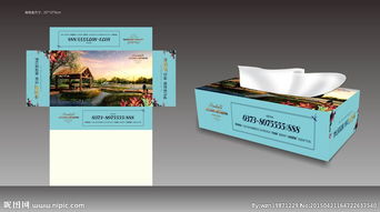 婚庆的分类与礼仪服务